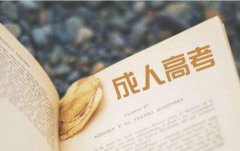 2020年7月云南省成人高考主要日程